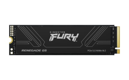 Kingston Technology 1T FURY RENEGADE G5 M.2 2280 NVMe SSD