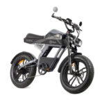 YOUIN E-BIKE URBAN STYLE FAT - Imagen 5