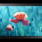 Samsung QB13R-TM Panel plano interactivo 33 cm (13") LED Wifi 500 cd / m² Full HD Negro Pantalla táctil Procesador incorporado Tizen 4.0 16/7