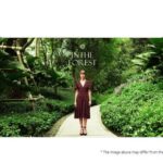 LG AV LED CABINET (LSCC025-GZ) PIXEL PITCH: 2.5 MM | BRIGHTNESS: 800 NIT | CABINET DIMENSIONS (W × H × D, MM): 600 × 337.5 × 33.6