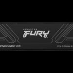 Kingston Technology 2T FURY RENEGADE G5 M.2 2280 NVMe SSD