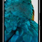 Nothing Phone (3a) Pro 17,2 cm (6.77") SIM doble Android 15 5G USB Tipo C 12 GB 256 GB 5000 mAh Negro