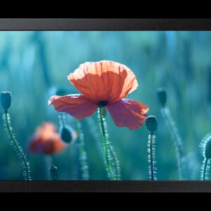 Samsung QB13C 33 cm (13") LCD Wifi 500 cd / m² Full HD Negro 16/7