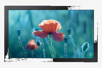 Samsung QB13C 33 cm (13") LCD Wifi 500 cd / m² Full HD Negro 16/7