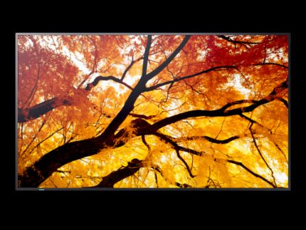 Sharp MultiSync M432 Pantalla plana para señalización digital 108 cm (42.5") LCD 550 cd / m² 4K Ultra HD Negro