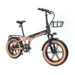 YOUIN E-BIKE 20"  FAT YOUIN DA