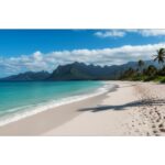 Sharp PN-UN553V LCD Interior