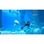 Juego de Nintendo Switch Endless Ocean: Luminoso - Imagen 3