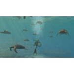 Juego de Nintendo Switch Endless Ocean: Luminoso - Imagen 6