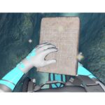 Juego de Nintendo Switch Endless Ocean: Luminoso - Imagen 5