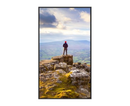 Sharp PN-E439 Pantalla plana para señalización digital 109,2 cm (43") LCD 350 cd / m² 4K Ultra HD Negro 16/7